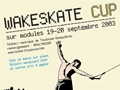 toulousesk8.gif (4812 octets)
